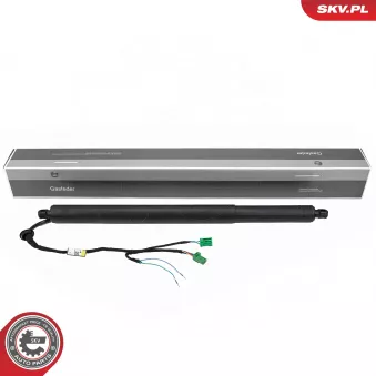 ESEN SKV 52SKV983 - Moteur électrique, hayon arrière droit