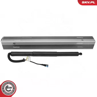 ESEN SKV 52SKV999 - Moteur électrique, hayon