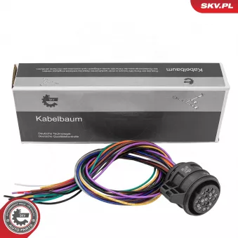 ESEN SKV 53SKV028 - Valve de commande, boîte automatique