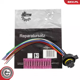 Valve de commande, boîte automatique ESEN SKV 53SKV029 pour AUDI A3 1.8 TFSI - 180cv