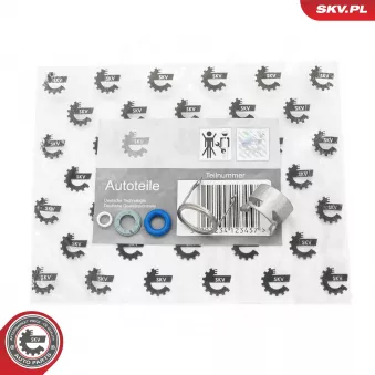 Kit de réparation, injecteur ESEN SKV 53SKV295 pour VOLKSWAGEN GOLF 2.0 - 200cv
