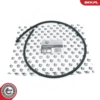 Tuyau, carburant de fuite ESEN SKV [54SKV319]