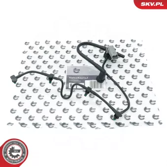 Tuyau, carburant de fuite ESEN SKV 54SKV370 pour RENAULT LAGUNA 1.9 DTI - 98cv