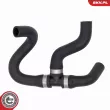 ESEN SKV 54SKV891 - Durite de radiateur