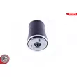ESEN SKV 58SKV004 - Ressort pneumatique, châssis arrière droit