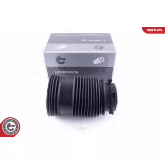 Ressort pneumatique, châssis arrière droit ESEN SKV 58SKV008 pour DAEWOO LANOS C 250 BlueTEC / d 4-matic - 204cv