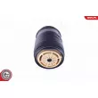 ESEN SKV 58SKV011 - Ressort pneumatique, châssis arrière gauche