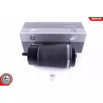 Ressort pneumatique, châssis ESEN SKV OEM RKB000150