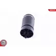 ESEN SKV 58SKV013 - Ressort pneumatique, châssis