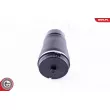 ESEN SKV 58SKV013 - Ressort pneumatique, châssis