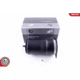 Ressort pneumatique, châssis ESEN SKV OEM 6393280101