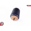 ESEN SKV 58SKV018 - Ressort pneumatique, châssis arrière droit