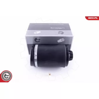 Ressort pneumatique, châssis ESEN SKV 58SKV027 pour JEEP GRAND CHEROKEE 3.6 V6 FlexFuel - 286cv