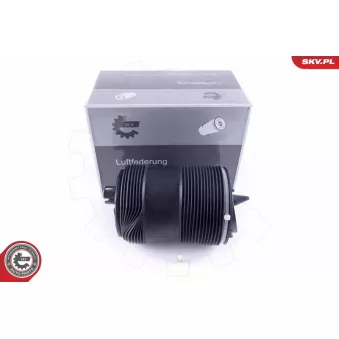 Ressort pneumatique, châssis arrière droit ESEN SKV [58SKV033]