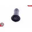 ESEN SKV 58SKV039 - Ressort pneumatique, châssis