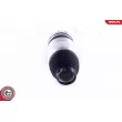 ESEN SKV 58SKV048 - Ressort pneumatique, châssis avant droit
