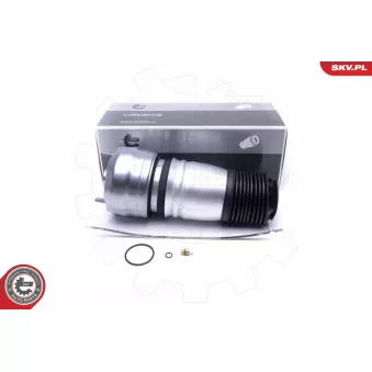 Ressort pneumatique, châssis avant droit ESEN SKV [58SKV062]