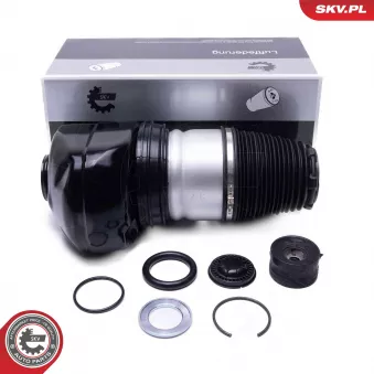 ESEN SKV 58SKV093 - Ressort pneumatique, châssis