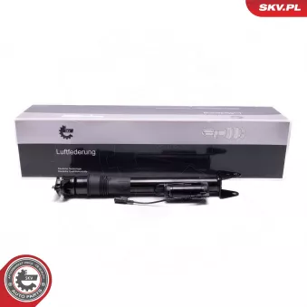 Armortisseur pneumatique ESEN SKV OEM A2513201031