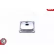 ESEN SKV 59SKV001 - Appareil de commande, système d'éclairage