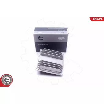 Appareil de commande, système d'éclairage ESEN SKV 59SKV051 pour RENAULT MEGANE CLS 350 BlueTEC - 252cv