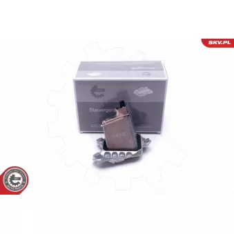 Appareil de commande, système d'éclairage ESEN SKV 59SKV127 pour BMW Série 5 530 d xDrive - 258cv