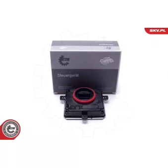 Appareil de commande, système d'éclairage ESEN SKV 59SKV166 pour VOLKSWAGEN TRANSPORTER - COMBI 1.9 TDI - 105cv