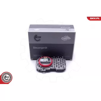 Appareil de commande, système d'éclairage ESEN SKV 59SKV179 pour VOLKSWAGEN CRAFTER 1.8 TSI 4x4 - 160cv