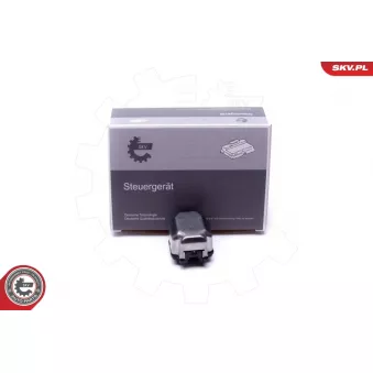 Boîte d'allumage, lampe à décharge) ESEN SKV OEM KD53510H3