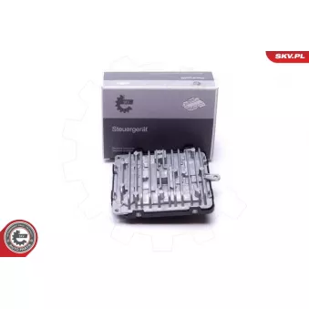 Appareil de commande, système d'éclairage ESEN SKV 59SKV183 pour VOLKSWAGEN TIGUAN 2.0 T5 AWD - 250cv