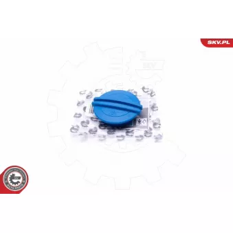 Bouchon, réservoir de liquide de refroidissement ESEN SKV 61SKV010 pour DAEWOO LEGANZA 1.4 TSI - 122cv