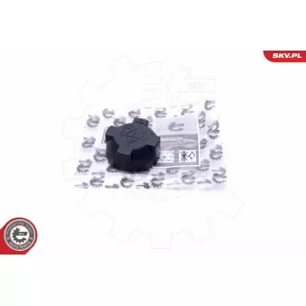 Bouchon, réservoir de liquide de refroidissement ESEN SKV 61SKV014 pour RENAULT EXPRESS 2.8 - 174cv