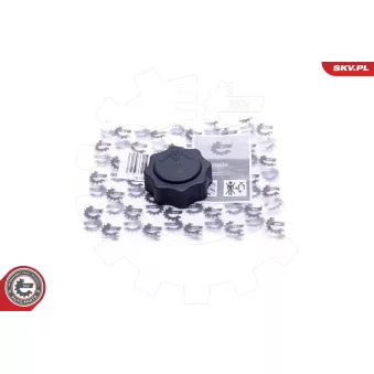 Bouchon, réservoir de liquide de refroidissement ESEN SKV 61SKV016 pour ROVER STREETWISE 1.4 - 84cv