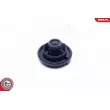 ESEN SKV 61SKV018 - Bouchon, réservoir de liquide de refroidissement