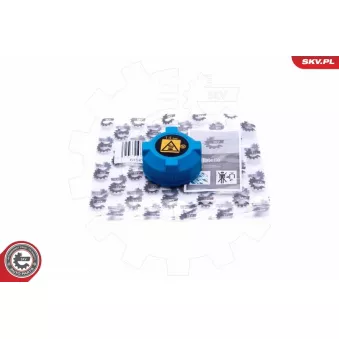 Bouchon, réservoir de liquide de refroidissement ESEN SKV OEM 60654688