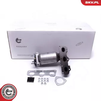Catalyseur ESEN SKV OEM 03E253020FX