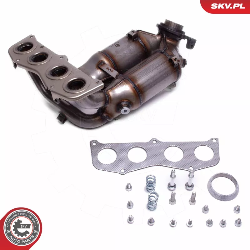 Catalyseur ESEN SKV 62SKV024 - Visuel 1