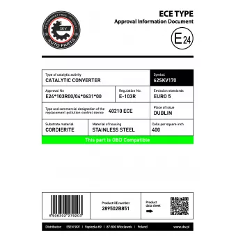 ESEN SKV 62SKV170 - Catalyseur