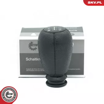 Pommeau ESEN SKV 63SKV029 pour BMW Série 5 2.2 HDI FAP - 133cv