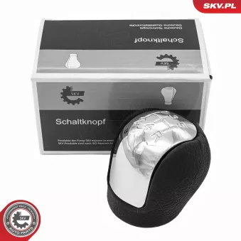 Pommeau de vitesses ESEN SKV 63SKV160 pour RENAULT SCENIC 1.8 - 140cv