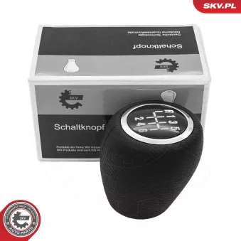 Pommeau de vitesses ESEN SKV 63SKV219 pour RENAULT SCENIC 1.8 - 140cv