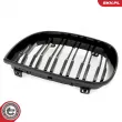 ESEN SKV 66SKV005 - Grille de radiateur