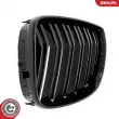 ESEN SKV 66SKV005 - Grille de radiateur