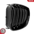 ESEN SKV 66SKV009 - Grille de radiateur
