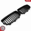 ESEN SKV 66SKV014 - Grille de radiateur