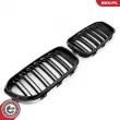 ESEN SKV 66SKV021 - Grille de radiateur