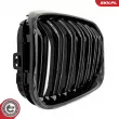 ESEN SKV 66SKV021 - Grille de radiateur