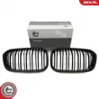 Grille de radiateur ESEN SKV [66SKV022]
