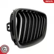 ESEN SKV 66SKV030 - Grille de radiateur