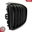 ESEN SKV 66SKV042 - Grille de radiateur